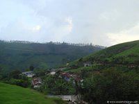 DSC02349
