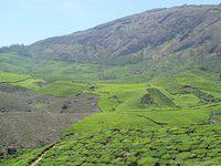 DSC02401