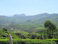 DSC02407