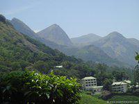 DSC02429