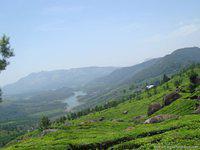 DSC02430