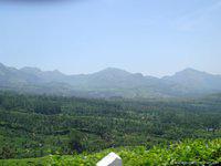 DSC02431