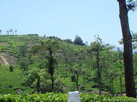 DSC02432