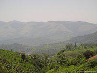 DSC02438