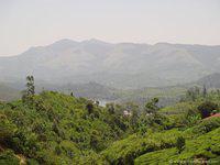 DSC02439
