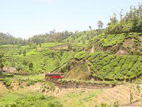 DSC02440
