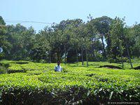 DSC02449