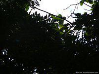 P1000435