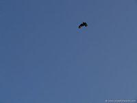 P1000694