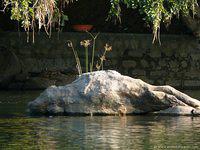 P1000697