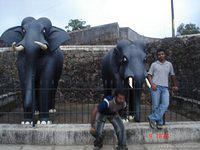 DSC00707