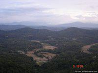 DSC00725
