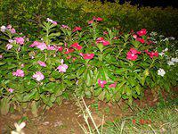 DSC00765