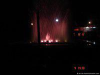 DSC00770