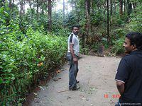 DSC00817