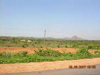 DSCN1720