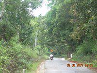 DSCN1743