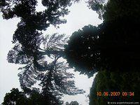 DSCN1888