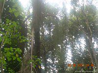 DSCN1889