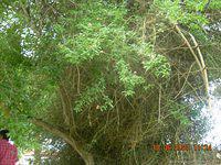 DSCN1945