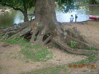 DSCN1955