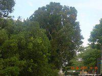 DSCN1961