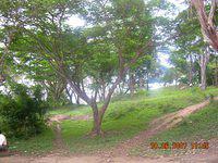 DSCN1971