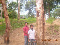 DSCN1973