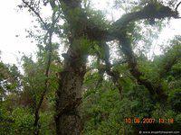DSCN2009