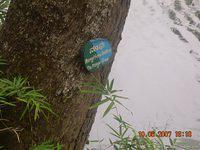 DSCN2010