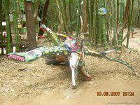 DSCN2014