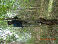 DSCN2061