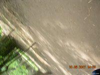 DSCN2068