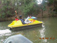 DSCN2082