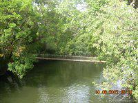 DSCN2092