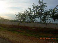 DSCN2119