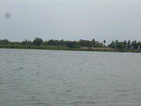 DSCN3006