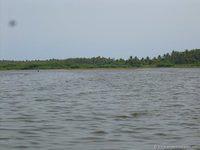 DSCN3008