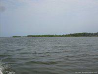 DSCN3011
