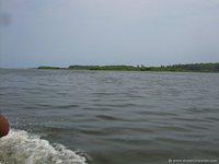 DSCN3012