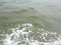 DSCN3028