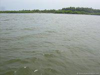 DSCN3029